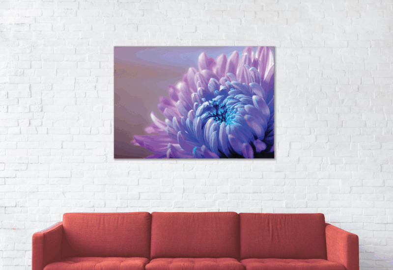 Beautiful chrysanthemum Wall Art 4 You
