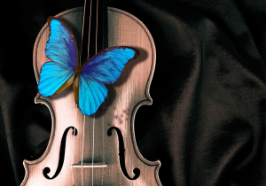 Blue butterfly on violin – plexiglas – aluminium – canvas