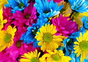 Colorful daisies – plexiglas – aluminium – canvas