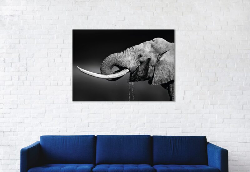 elephant drinks water - Olifant – plexiglas – aluminium – canvas - Afbeelding 2