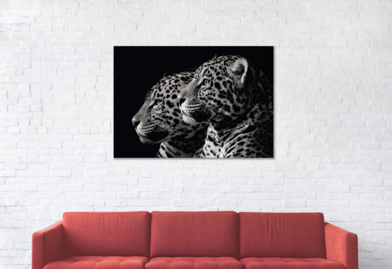 portrait of jaguar – plexiglas – aluminium – canvas - Afbeelding 2