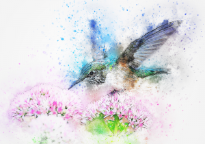 Bird with flowers in watercolor - bloemen en vogels – plexiglas – aluminium – canvas
