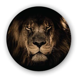 Wandcirkel lion