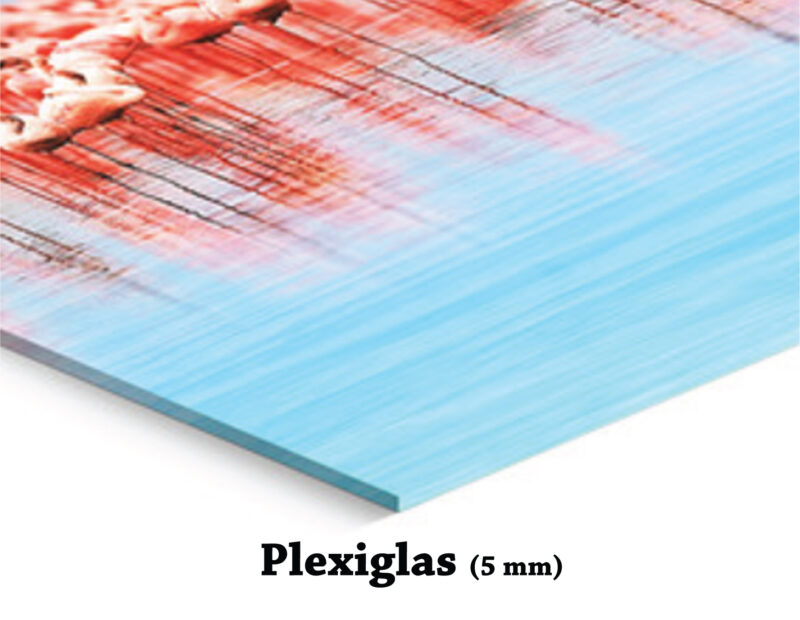 Eigen foto op plexiglas bedrukken