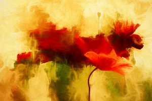Poppies abstract - klaprozen – plexiglas – aluminium – canvas