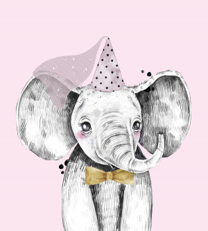 Kinderkamer wanddecoratie baby meisje olifant – aluminium – canvas