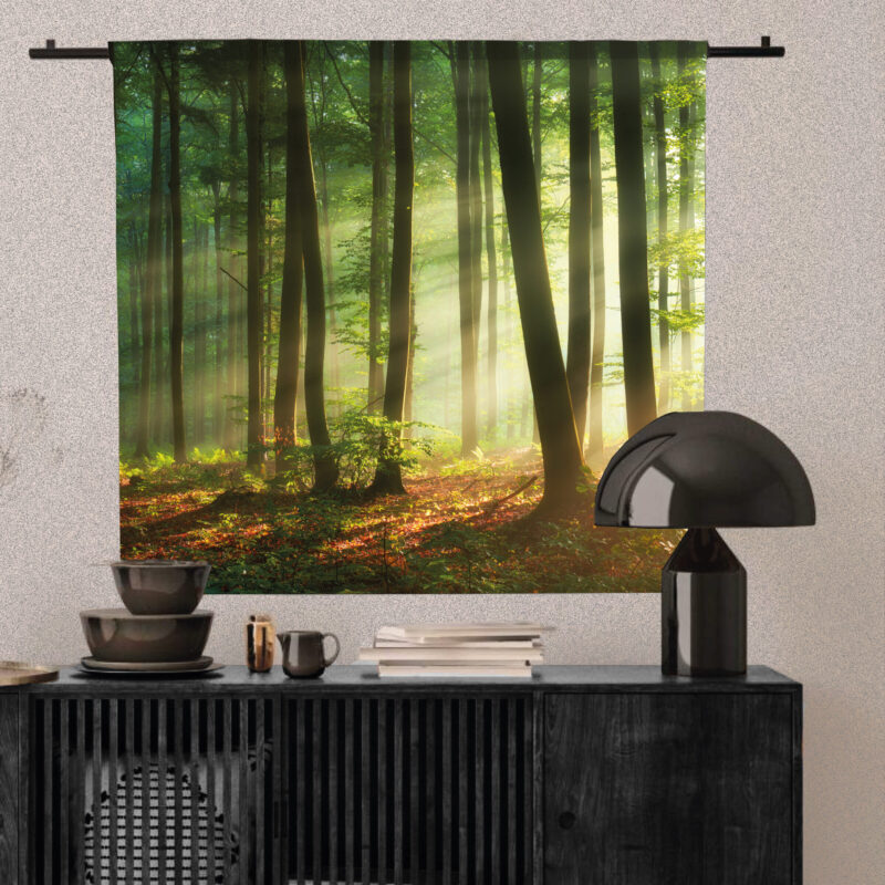 Wandkleed morning in forest